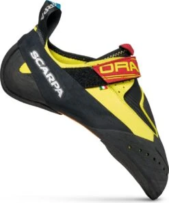 Scarpa Drago
